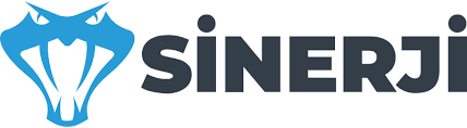 Sinerji